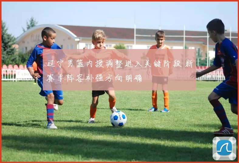 辽宁男篮内援调整进入关键阶段 新赛季阵容补强方向明确