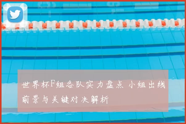 世界杯F组各队实力盘点 小组出线前景与关键对决解析