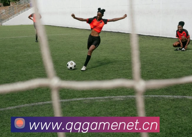 多媒体互动体验